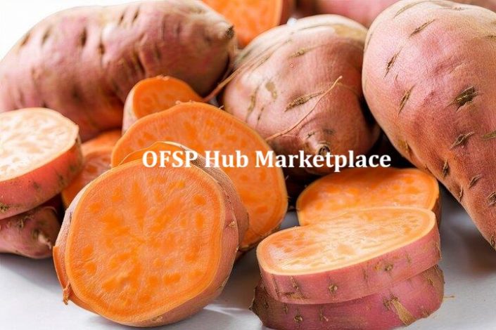 OFSP 2